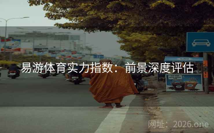 易游体育实力指数：前景深度评估  第1张