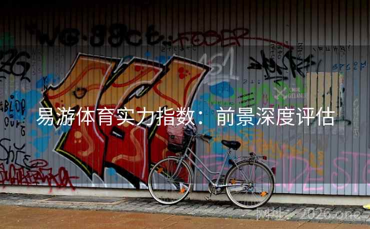 易游体育实力指数：前景深度评估  第2张