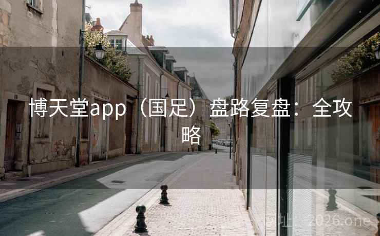 博天堂app（国足）盘路复盘：全攻略  第1张