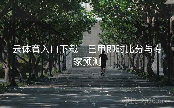 云体育入口下载｜巴甲即时比分与专家预测  第2张
