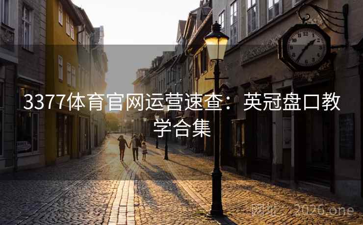3377体育官网运营速查:英冠盘口教学合集  第1张 3377体育官网运营速查:英冠盘口教学合集  第1张