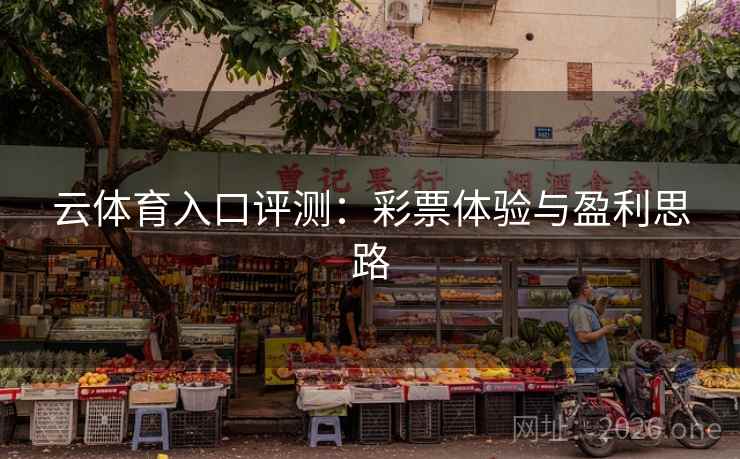 云体育入口评测：彩票体验与盈利思路  第1张