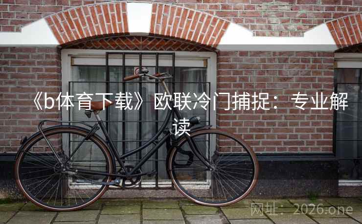 《b体育下载》欧联冷门捕捉:专业解读  第1张 《b体育下载》欧联冷门捕捉:专业解读  第1张