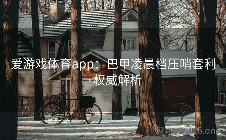 爱游戏体育app:巴甲凌晨档压哨套利·权威解析  第2张 爱游戏体育app:巴甲凌晨档压哨套利·权威解析  第2张
