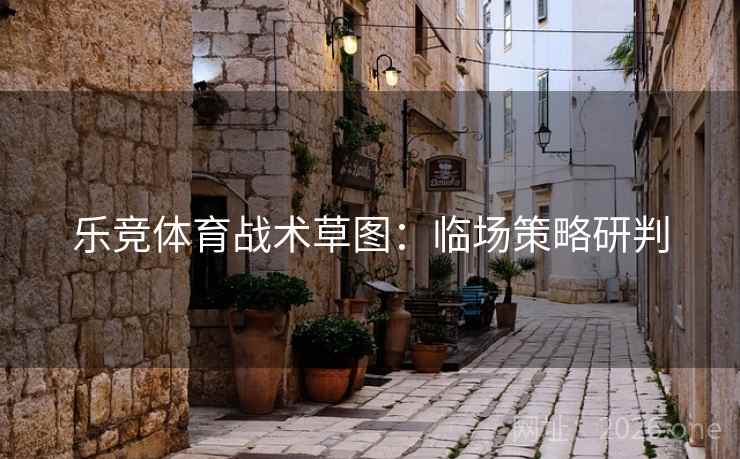 乐竞体育战术草图：临场策略研判  第2张