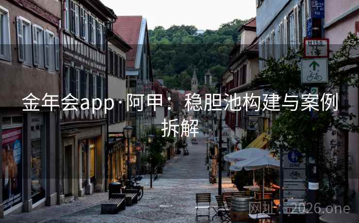 金年会app·阿甲:稳胆池构建与案例拆解  第1张 金年会app·阿甲:稳胆池构建与案例拆解  第1张