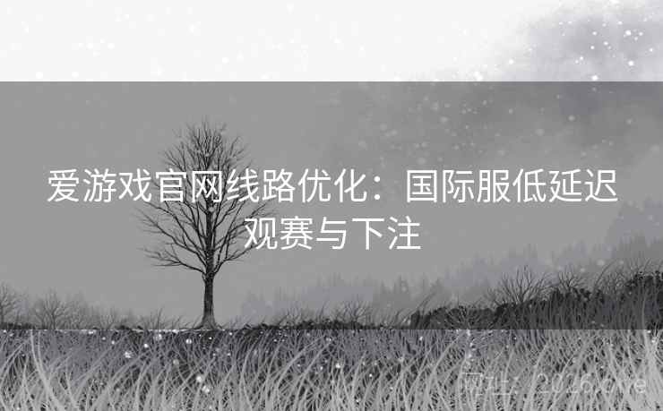 爱游戏官网线路优化:国际服低延迟观赛与下注  第1张 爱游戏官网线路优化:国际服低延迟观赛与下注  第1张