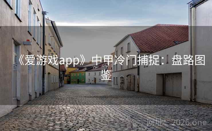 《爱游戏app》中甲冷门捕捉:盘路图鉴  第1张 《爱游戏app》中甲冷门捕捉:盘路图鉴  第1张