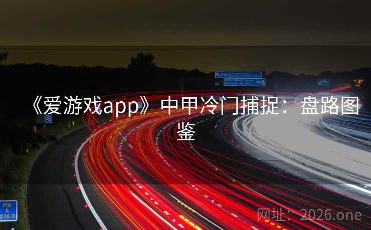 《爱游戏app》中甲冷门捕捉:盘路图鉴  第2张 《爱游戏app》中甲冷门捕捉:盘路图鉴  第2张